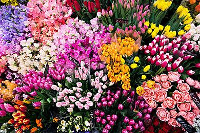 7.0版本要来了 《最终幻想14》2月公布新故事情报